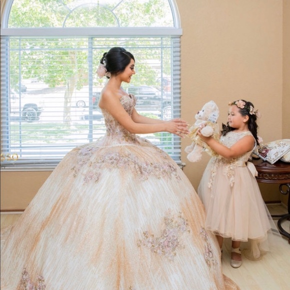 Quinceañera Dress - Picture 4 of 8